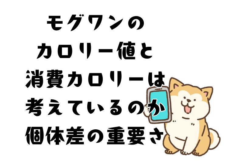 モグワンドッグフードのカロリー値と、犬の日々の生活でカロリー消費に繋がっているのか